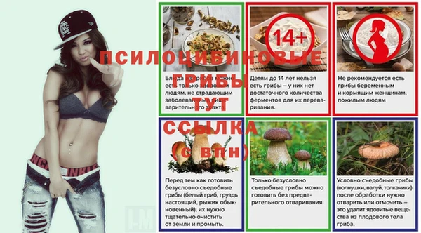 MESCALINE Медвежьегорск