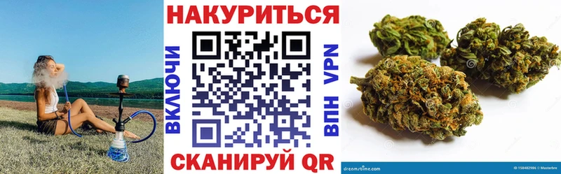 Конопля сатива  купить наркотик  Назрань 